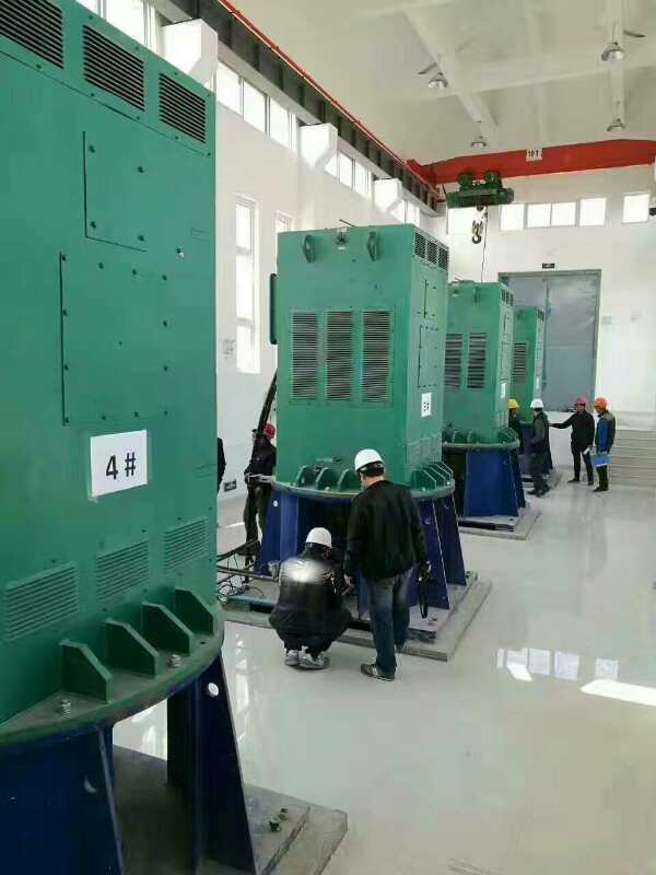 Y5004-12某污水处理厂使用我厂的立式高压电机安装现场