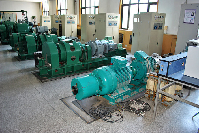 Y5004-12某热电厂使用我厂的YKK高压电机提供动力