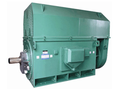 Y5004-12Y系列6KV高压电机