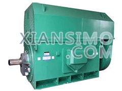 Y5004-12YXKK(2极)高效高压电机技术参数