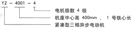 YR系列(H355-1000)高压Y5004-12三相异步电机西安西玛电机型号说明